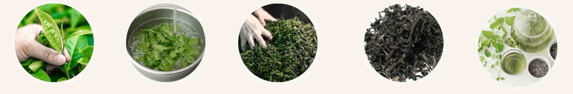 phong-sach-san-xuat-tra-thao-moc phong-sach-san-xuat-tra-thao-moc