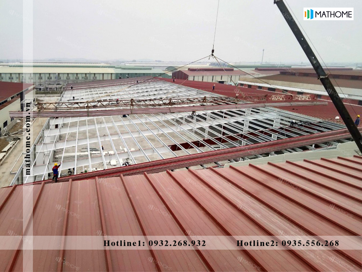 ton-mai-mien-trung ton-mai-mien-trung