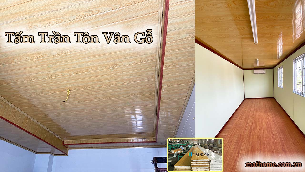tam-tran-ton-van-go